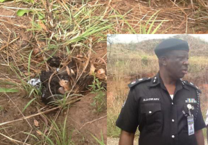 Parts of the decomposed body of the kidnapped Dad of ex-super Eagle player. (Inset) Anambara Police Commissioner in the Bush where the body was found.