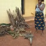 Enugu Police Raid Arms Manufacturing Company, Arrest Widow Who Keeps The Guns