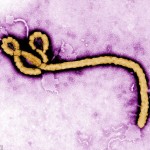 Ebola Resurfaces In DR Congo