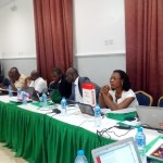 UNDP, Online Publishers Dialogue On Peaceful Elections