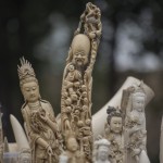 Tanzania Urges China to Curb Ivory Demand