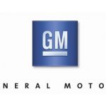 Regulators Permit GM’s Delay In Recall of Defective Air Bags