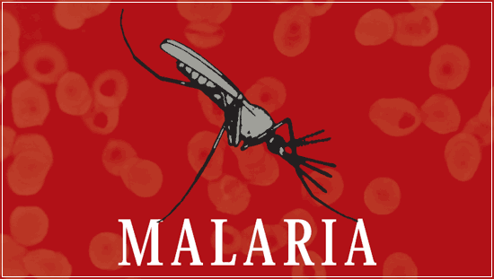 WHO Recommendation For World's First Malaria Vaccine Motivates Gavi, Others - Vimarsana News