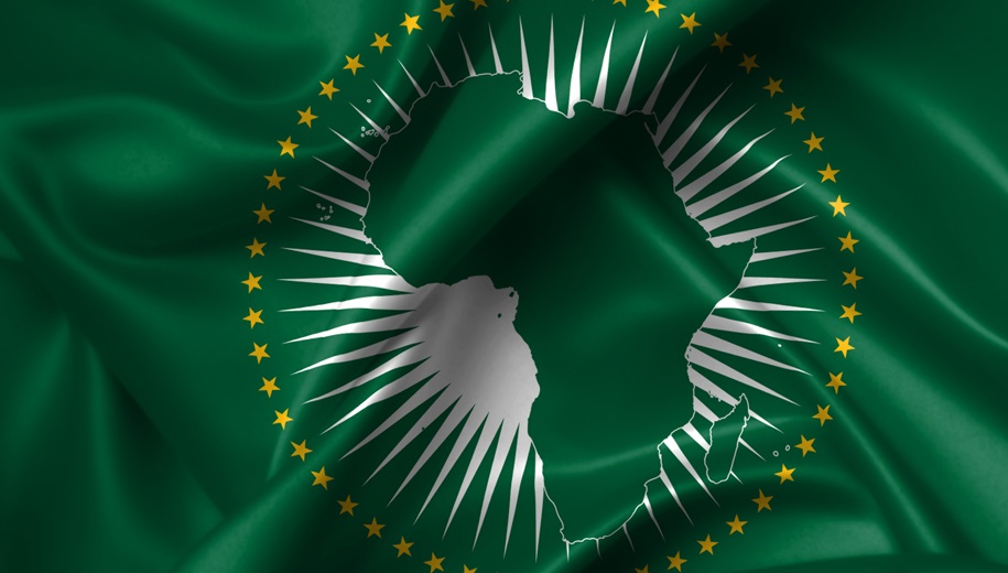 AU Inaugurates Task Force On Diseases | African Examiner - Vimarsana News