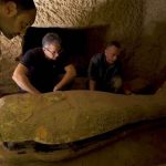 Egypt Discovers 2,500-Year-Old Intact 13 Sealed Coffins