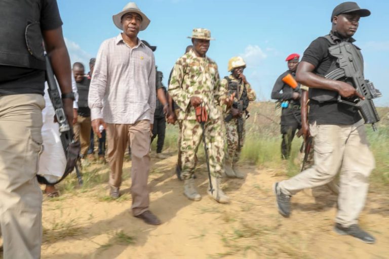 Zulum Frowns At Killing Of 8 Farmers By Iswap Insurgents In Borno - Vimarsana News