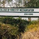 Soldiers Rescue 172 Students Kidnapped In Kaduna, Many Still Missing