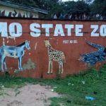 Philanthropist Adopts 3 Lions From Imo Zoo