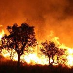 25 Soldiers, 7 Residents Killed In Algeria’s Wildfires