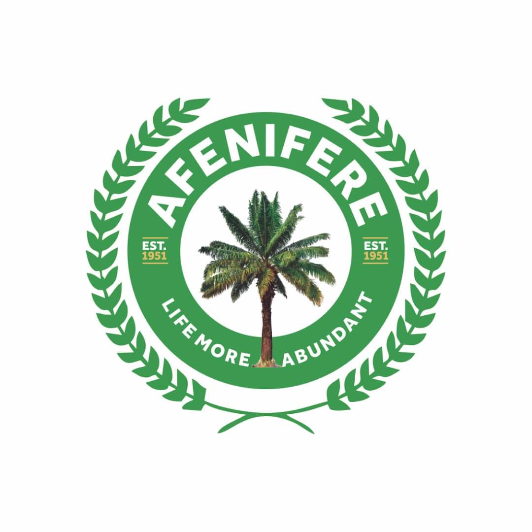 Afenifere Scraps Positions Of Acting Leader, Deputy - Vimarsana News