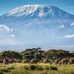Tanzania In Final Preparations To Introduce Cable Car On Mt Kilimanjaro