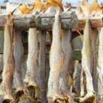 Why Stockfish Should Remain Important In Nigerian Cuisine