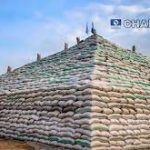 Buhari  Unveils Mega Rice Pyramid In Abuja