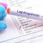 29 People Die Of Leptospirosis In Fiji