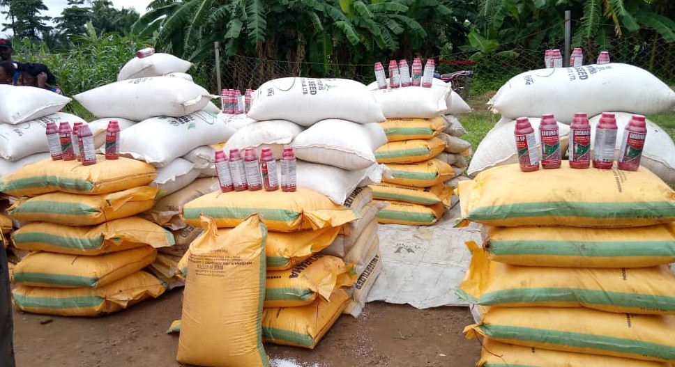FG, IFAD Distribute Agro Inputs To Rice Farmers In Enugu - Vimarsana News
