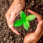 AfDB Moves Against Emerging Environmental Challenges In Africa