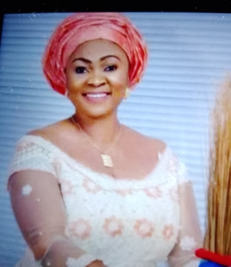 APC Primary : Ex – Enugu Commissioner's Wife, Wins Enugu North/South Federal Constituency - Vimarsana News