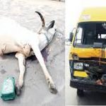 Police Arrest Herders For Killing  Lagos Resident Over Dead Cow