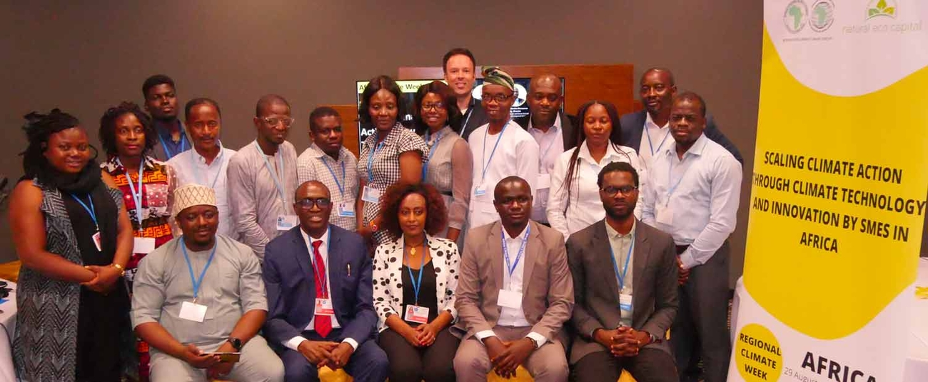 Green Investment: AfDB's New Tools Raise Hope For SMEs In Africa - Vimarsana News