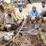 EEDC Nabs Over 8 Vandals Within One-Month In S/East