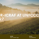 CIFOR-ICRAF Scientists Interrogate Climate Impact Of Land Restoration In Africa At COP27