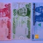 Redesigned Naira Notes Unveiled