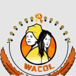 WACOL Gives 62, 000 Free Legal Aid Services To Women, Girls Since Inception, Says Prof Ezeilo