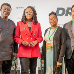 Paradigm Initiative Tasks Stakeholders On Internet Accessibility In Africa