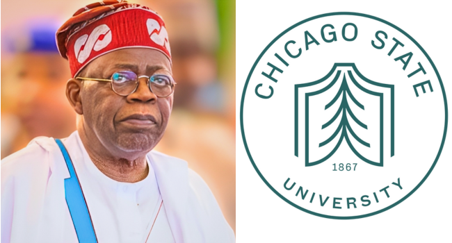 Certificate Saga: Nigeria Now Portrayed As A Nation Of Cheats, Says Sowunmi - Vimarsana News