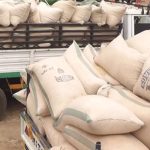 Tinubu Directs Release Of 42,000 Metric Tons Of Grains
