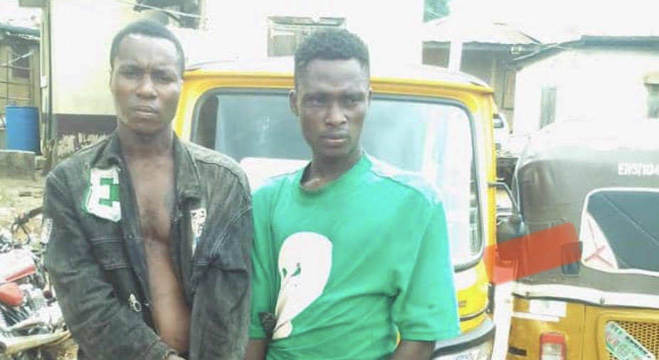 Police Detectives Arrest InterState Tricycle Stealing Suspects in Enugu - Vimarsana News