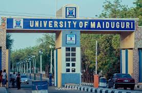 Reactions As President Tinubu Renames University Of Maiduguri After Late Buhari