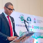 Shell Boss Advocates Bold Investments to Bridge Energy Gap in Nigeria