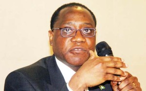 Nigeria's minister of Industry, Olusegun Adanga