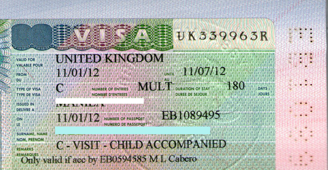 Visa fees. Виза в Нигерию. Виза в Нигерию для россиян. Uk visa. Виза нигер.