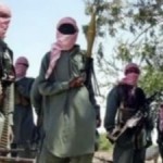 Boko Haram Takes Over Gamboru, Ngala Towns in Borno State