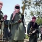 100 Repentant  Boko Haram Members Granted Amnesty –DG  NEMA