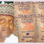 Dangote Cement Best Performing Stock – Nigerian Exchange