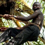 Family Feud Turns Bloody in Imo as Palm Wine Tapper Gunned Down Brother Over Money, Land Issues